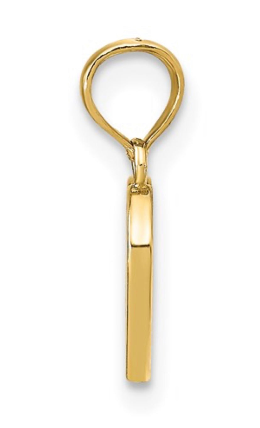 Polished Enameled Heart Pendant Charm